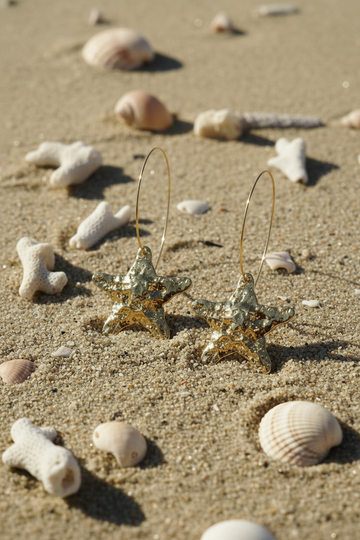Holiday Star Fish Basketball Hoop Earrings